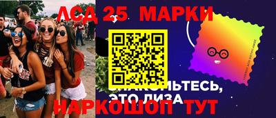 крисы Славгород