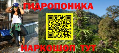 крисы Славгород