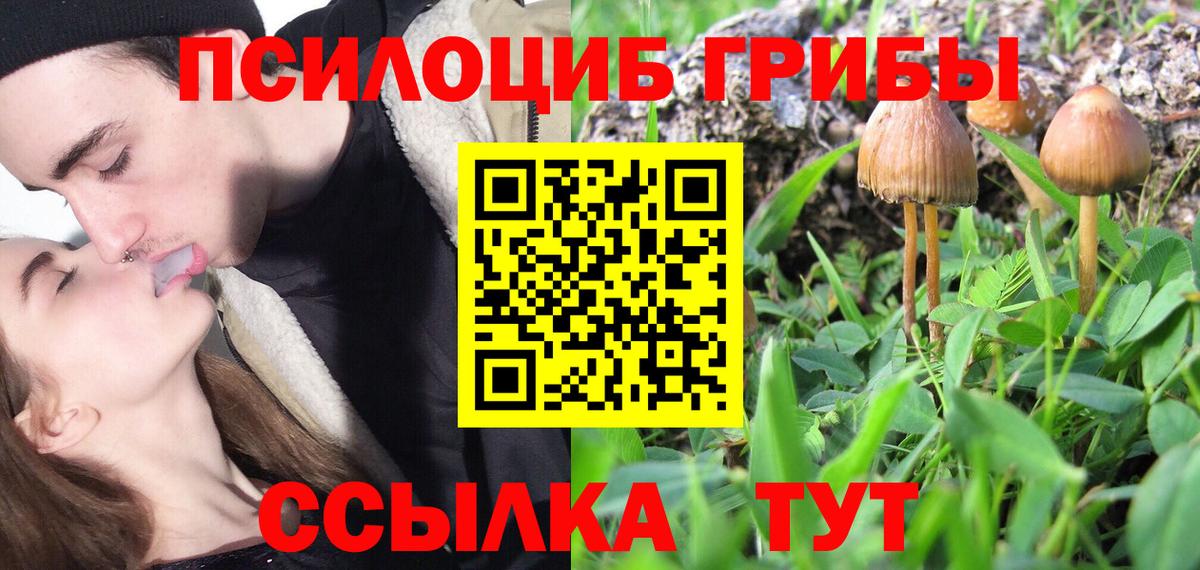 Псилоцибиновые грибы Psilocybe Нягань
