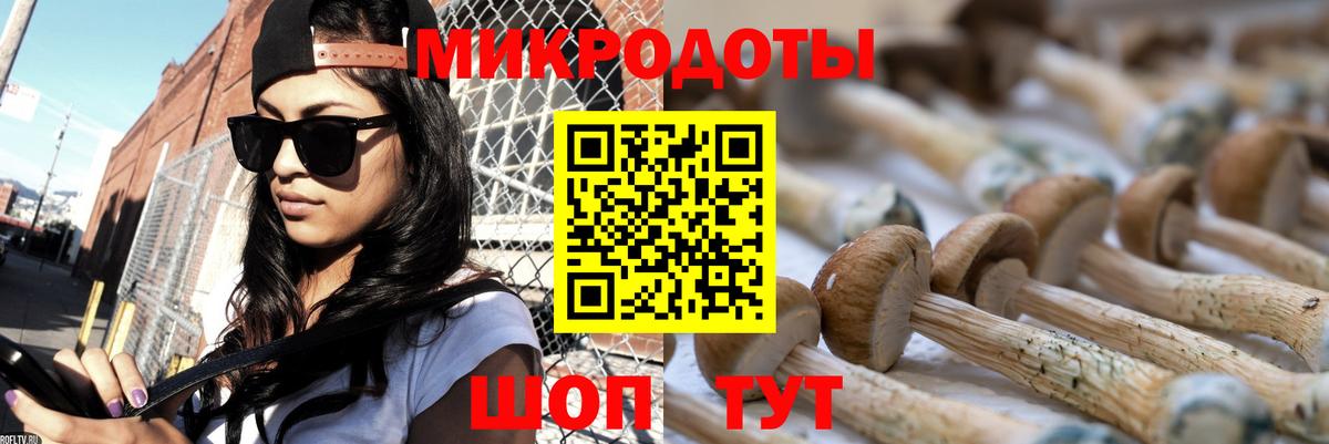 Нягань  Галлюциногенные грибы Psilocybine cubensis  Псилоцибиновые грибы Psilocybine cubensis  Вход с VPN 